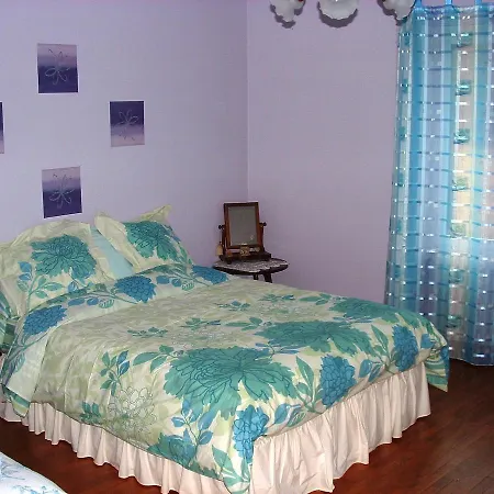 D'hotes Le Forgeron Chateaumur