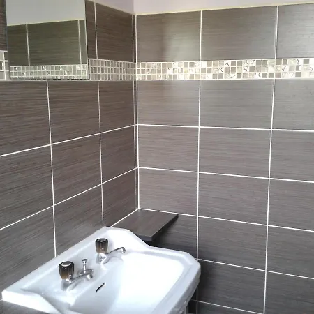 D'hotes Le Forgeron 3* Chateaumur